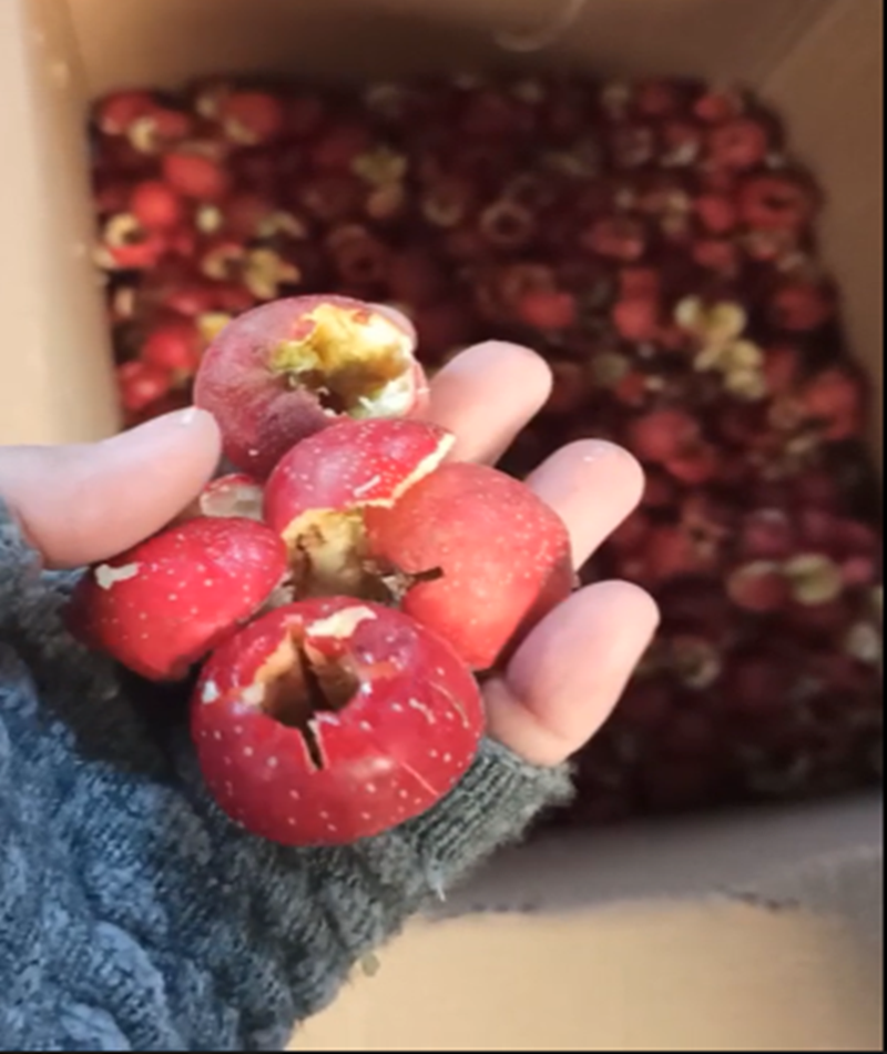 山楂、青梅去核機(jī)